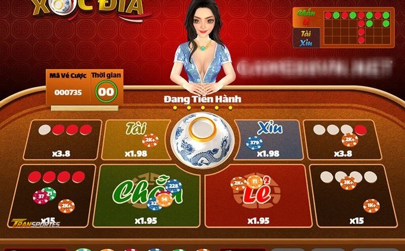 Transportes GZ Card Games - Betting Rounds And Player Decisions